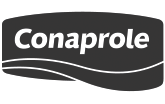Logo Conaprole Grey