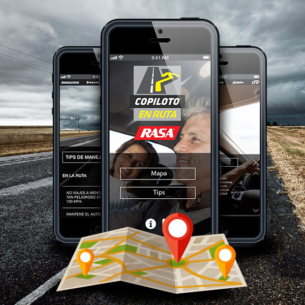 Copiloto en Ruta