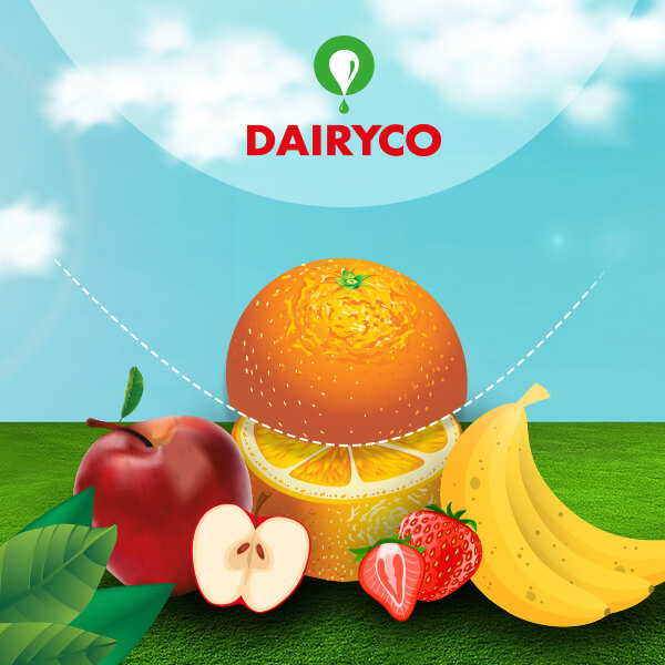 Sacale jugo - Dairyco